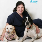 Cape  May Veterinary Hospital