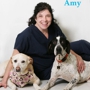 Cape  May Veterinary Hospital