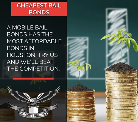 a mobile bail bonds - Houston, TX