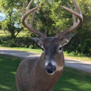 Shep's Taxidermy - Plumbing-Drain & Sewer Cleaning