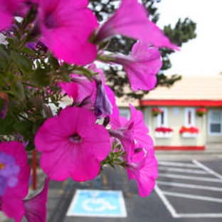 City Center Motel - Seaside, OR