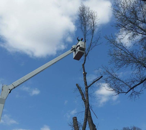 Tillotson's Tree Care - Chesnee, SC