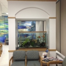 Connecticut Aquarium Services - Aquariums & Aquarium Supplies