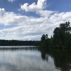 The Cottages at Lake Tamaha - Student Housing gallery