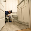 Alder Pest Control - Pest Control Services