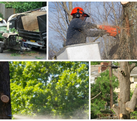 Quality Tree Services - Verona, NJ