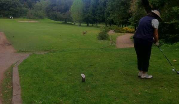 Deep Cliff Golf Course - Cupertino, CA