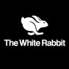 The White Rabbit @ Water Street gallery