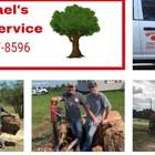 Michael's Tree Service & Stump Removal