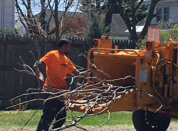 Autumn Tree Service Inc - Schenectady, NY. Oscar was just as polite and professional as Matt !