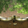 Zahav gallery