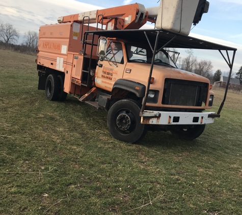 Morales Lawncare LLC - Stevensville, MI. Now tree service available