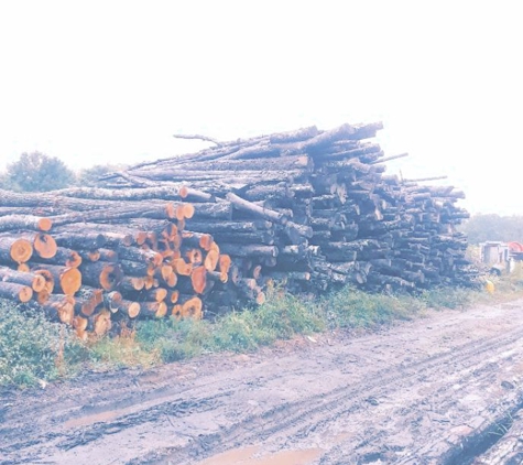 Firewood Time - Sanford, ME