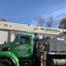 MC Greenfield Tree & landscape Service LLC - Tree Service