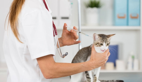 Wetherill Park Vet Clinic - Wetherill Park, NSW