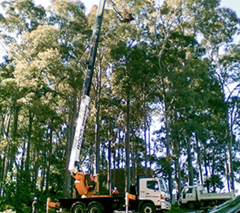 Walton's Tree Care Services - Woonona, NSW