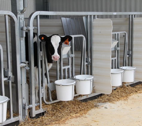 Sturdy Built Manufacturing - Denver, PA. Calf Gates