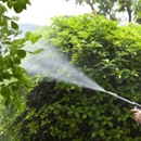 Lawn Care & Pest Control - Gardeners