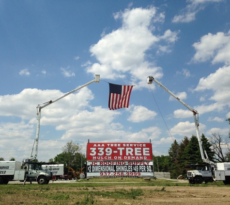 AAA Tree & Landscaping