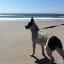 Atlantic Beach Taxi - CLOSED