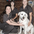 Sewell Animal Hospital - Pet Services