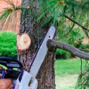 Mark's Stump Removal & Tree Service gallery