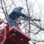 Southern Maryland Fellers Tree Service
