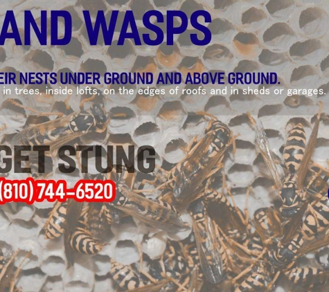 Beck's Pest Control - Flushing, MI