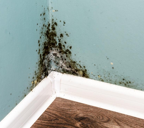 Paul Davis Restoration of North Dallas - Carrollton, TX. black mold & testing inspections