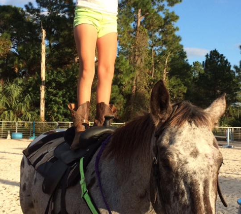 Rockin N Stables - Pelham, GA