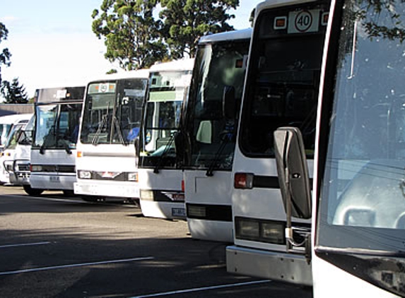 Kergers Coaches - Penguin, TAS