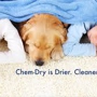 Chem-Dry of Cary