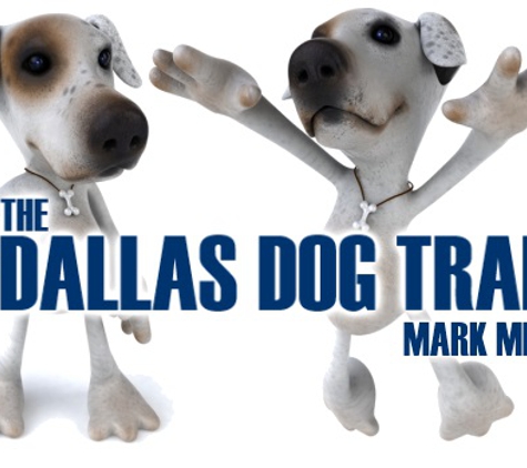 The Dallas Dog Trainer - Dallas, TX