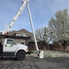 Supreme Tree Service gallery