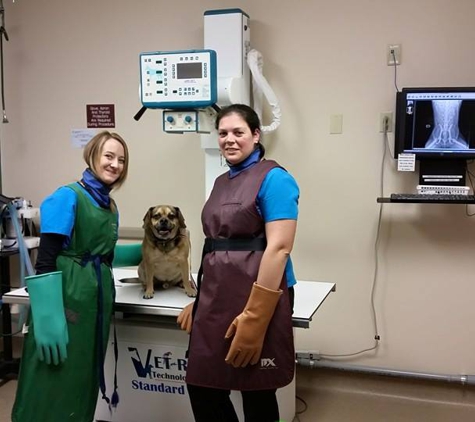 Dupont Veterinary Clinic - Fort Wayne, IN