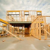 Gallery Image Number 5