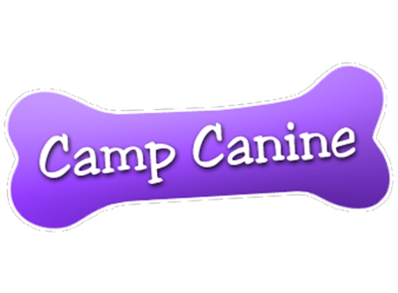 Camp Canine LLC - Bristol, CT