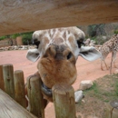 Ent Credit Union ATM - Cheyenne Mountain Zoo - Zoos