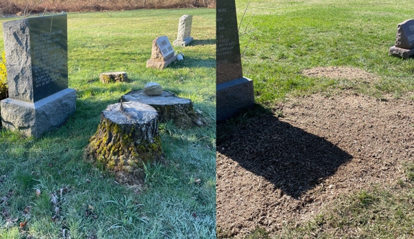 Stump Wrecker - Latham, NY. Stump Removal / Stump Grinding Petersburgh NY