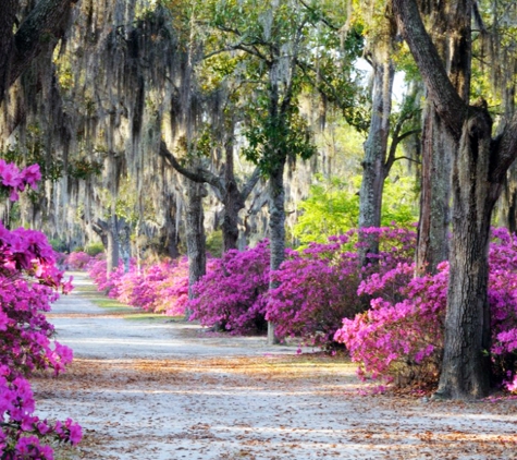 Fast Growing Trees - Fort Mill, SC