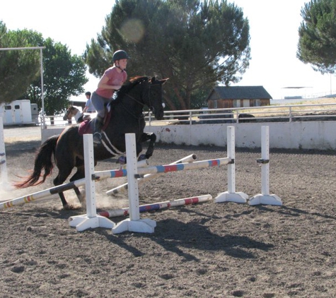 Legacy Farm - Specializing in Hunters Equitation & Ponies - Sunol, CA