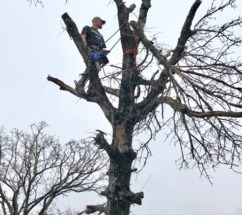 Out On A Limb Tree Service - Norman, OK