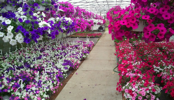 Westland Florists And Greenhouse - Westland, MI