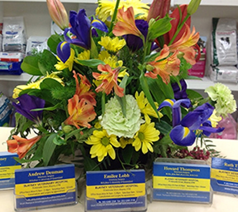 Blayney Veterinary Hospital - Blayney, NSW