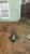 Modern Solutions Waterproofing LLC - Waterproofing Contractors