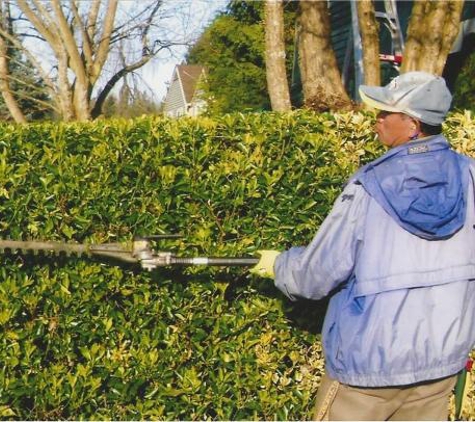 Seatac Landscaping - Tukwila, WA