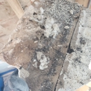 FDP Mold Remediation of Columbia - Mold Remediation