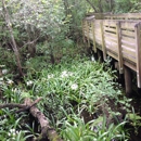 Lettuce Lake Regional Park - Parks