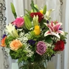 Prospect Heights Florist & Organic Fruit Baskets gallery