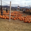 Toll House Pumpkin Patch gallery